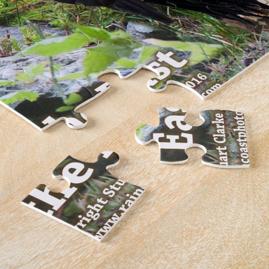 北アメリカの東のパズルの裏庭の鳥 ジグソーパズル (側面)