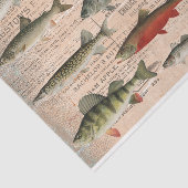 北アメリカの淡水魚デコページ 薄葉紙 (詳細)