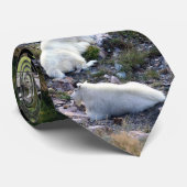 北アメリカの野性生物 ネクタイ (ロール)