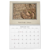 北アメリカの野生生物カレンダー カレンダー (2月 2027)