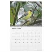 北アメリカの鳥カレンダー カレンダー (2月 2026)