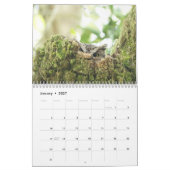 北アメリカの鳥類カレンダー カレンダー (1月 2027)