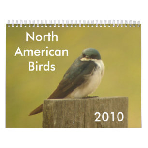 北アメリカの鳥2010年 カレンダー