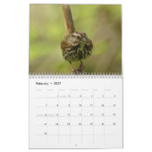 北アメリカの鳥2010年 カレンダー (2月 2027)