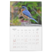 北アメリカの鳥 カレンダー (3月 2027)