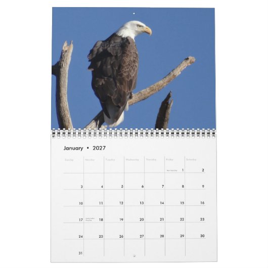北アメリカの鳥 カレンダー (1月 2027)