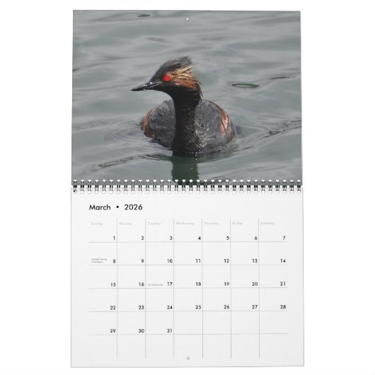 北アメリカの鳥 カレンダー (3月 2026)