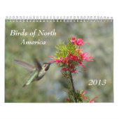 北アメリカの鳥 カレンダー (カバー)