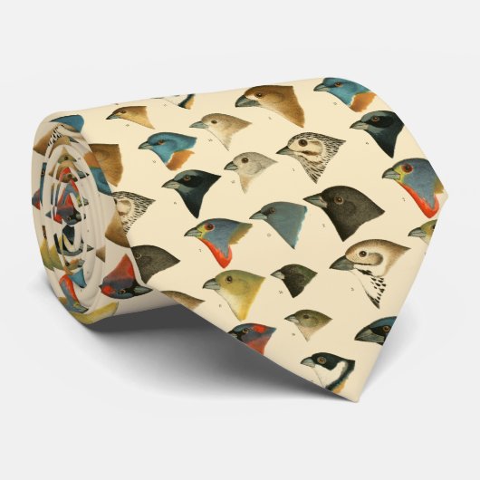 北アメリカの鳥 ネクタイ (ロール)