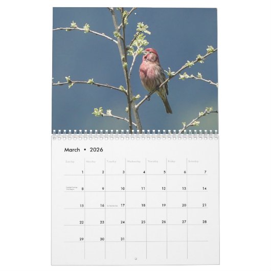 北アメリカの鳴鳥 カレンダー (3月 2026)