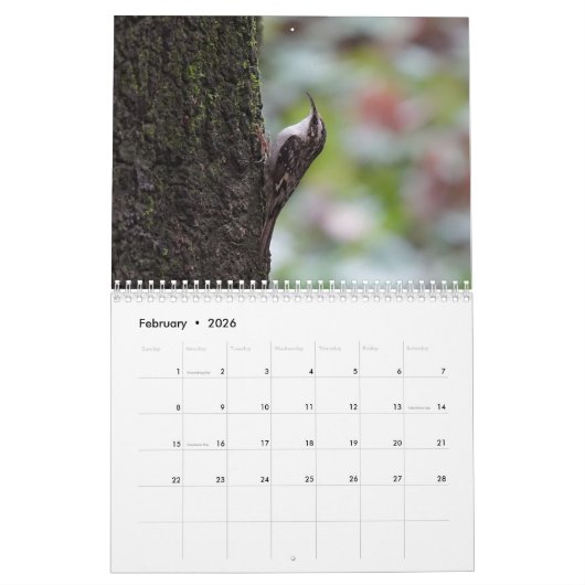 北アメリカの鳴鳥 カレンダー (2月 2026)