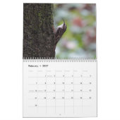 北アメリカの鳴鳥 カレンダー (2月 2027)