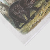 北アメリカの黒熊（1845年）デコページ 薄葉紙 (詳細)