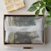 北アメリカの黒熊（1845年）デコページ 薄葉紙 (ギフト)