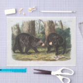 北アメリカの黒熊（1845年）デコページ 薄葉紙 (クラフト)