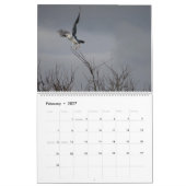 北アメリカの2017羽の鳥 カレンダー (2月 2027)