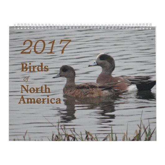 北アメリカの2017羽の鳥 カレンダー (カバー)