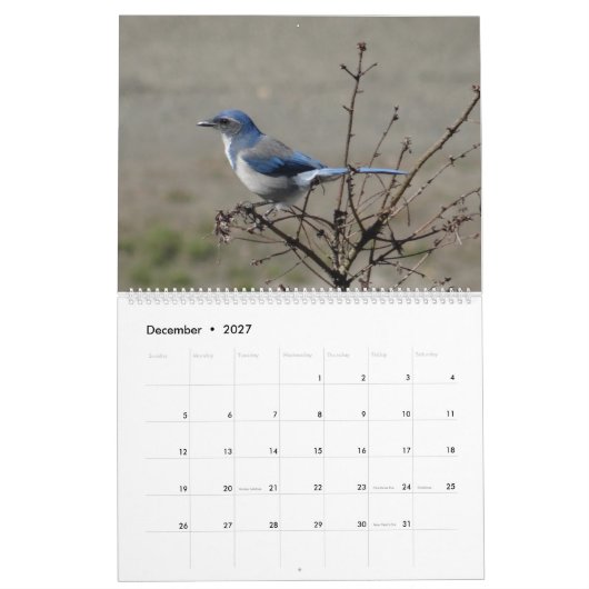 北アメリカの2017羽の鳥 カレンダー (12月 2027)