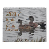 北アメリカの2017羽の鳥 カレンダー (カバー)