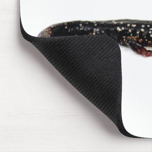 北アメリカのmousepadの斑点を付けられたサンショウウオ マウスパッド (コーナー)