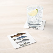 北アメリカナマズ群 スクエアペーパーコースター (インサイチュ)