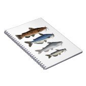 北アメリカナマズ群 ノートブック (右側)