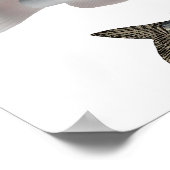 北アメリカナマズ群 ポスター (角)