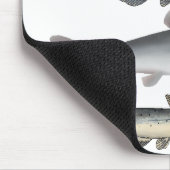 北アメリカナマズ群 マウスパッド (コーナー)