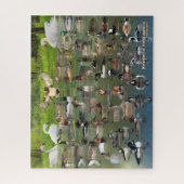 北アメリカ水鳥 ジグソーパズル (縦)