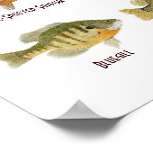 北アメリカ産のヒマザメの通販… ポスター (角)