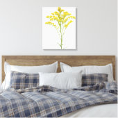 北アメリカ産ゴールデンロッド花(Solidago juncea) キャンバスプリント (インサイチュ (寝室))
