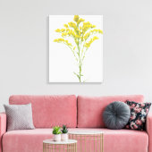 北アメリカ産ゴールデンロッド花(Solidago juncea) キャンバスプリント (インサイチュ (リビング))