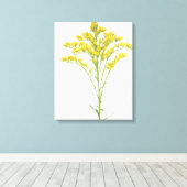 北アメリカ産ゴールデンロッド花(Solidago juncea) キャンバスプリント (インサイチュ (ウッドフロア))