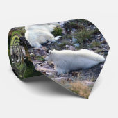 北アメリカ2の野性生物 ネクタイ (ロール)