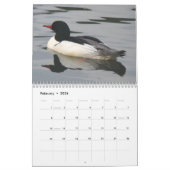 北アメリカ2011年のアヒル カレンダー (2月 2026)