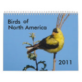 北アメリカ2011年の鳥 カレンダー (カバー)
