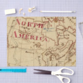 北アメリカ8 薄葉紙 (クラフト)