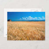 北アメリカ、アメリカ、アイダホ。～の麦畑 ポストカード (正面/裏面)