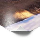 北アメリカ、アメリカ、アラスカ、北極圏、 フォトプリント            (角)