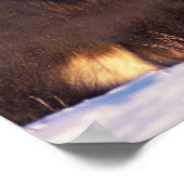 北アメリカ、アメリカ、アラスカ、北極圏、 ポスター (角)