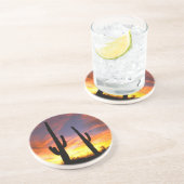 北アメリカ、アメリカ、アリゾナ、ソノラン砂漠。 コースター (側面)