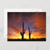 北アメリカ、アメリカ、アリゾナ、ソノラン砂漠。 ポストカード (正面/裏面)