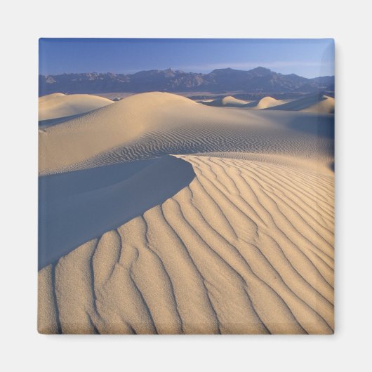 北アメリカ,アメリカ,カリフォルニア州,デスバレー3 マグネット (正面)