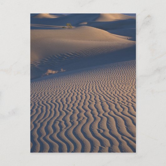 北アメリカ，アメリカ，カリフォルニア州，デスバレー ポストカード (正面)