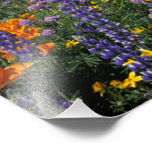 北アメリカ，アメリカ，カリフォルニア，ロサンゼルス2 フォトプリント            (角)