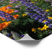 北アメリカ，アメリカ，カリフォルニア，ロサンゼルス2 ポスター (角)