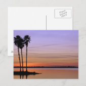 北アメリカ，アメリカ，フロリダ，ドーラ山，トリオ ポストカード (正面/裏面)