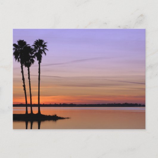 北アメリカ，アメリカ，フロリダ，ドーラ山，トリオ ポストカード (正面)