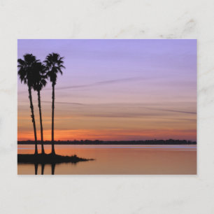 北アメリカ，アメリカ，フロリダ，ドーラ山，トリオ ポストカード