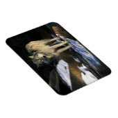 北アメリカ、アメリカ、ミネソタ。ウルフ（カニス） マグネット (右側)